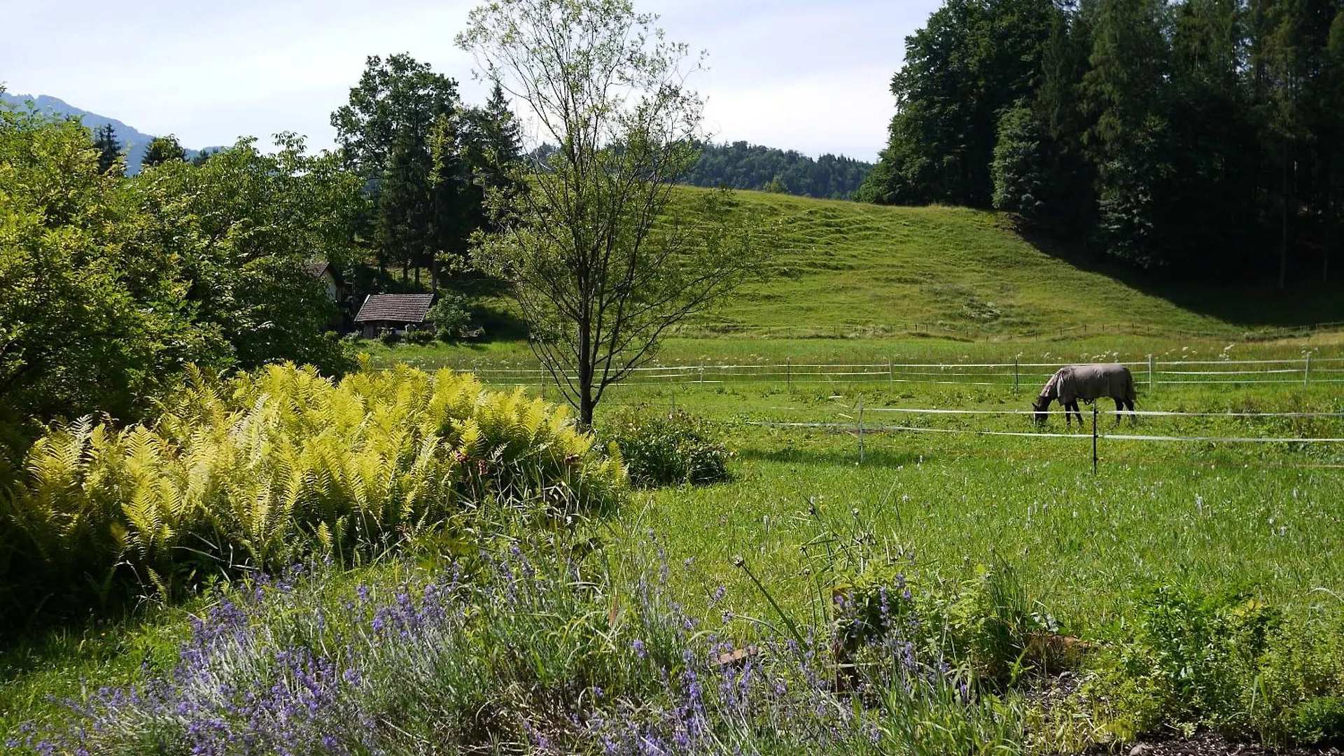 Ideale Familienunterkunft In Absoluter Idylle Im Landschaftsschutzgebiet Kiefersfelden Germany